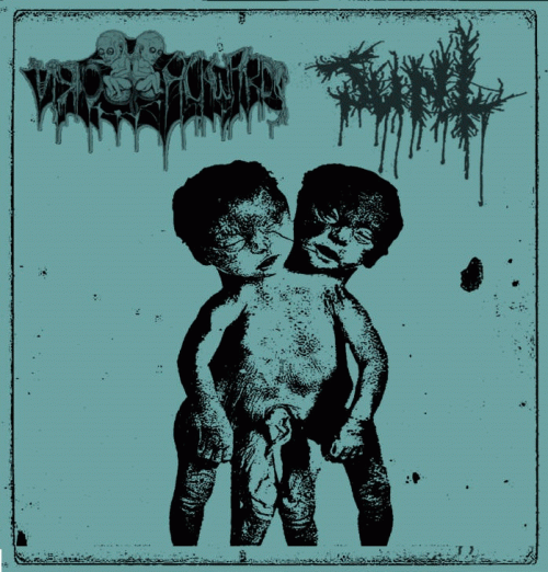 Junt : Born Backwards - Junt